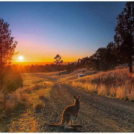 Bulwarra Bed & Breakfast Dubbo Extérieur photo