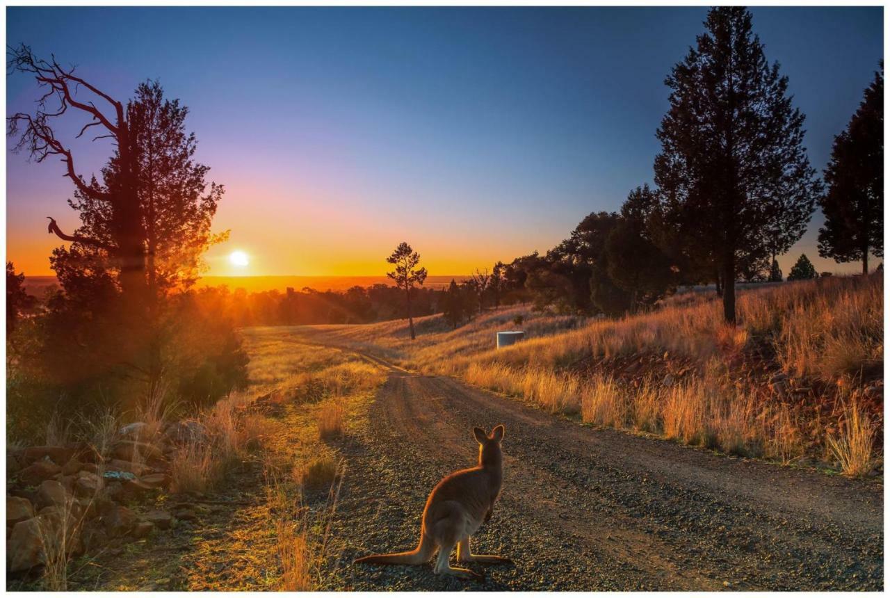 Bulwarra Bed & Breakfast Dubbo Extérieur photo